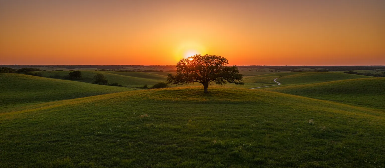 South Texas rolling green hills at golden hour